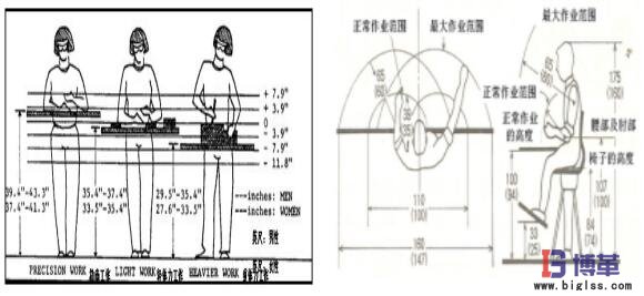 動作經濟圖解
